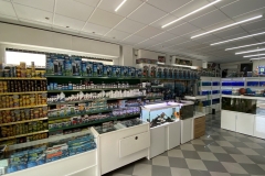 Image-4