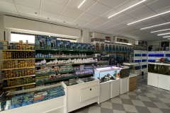 Image-5