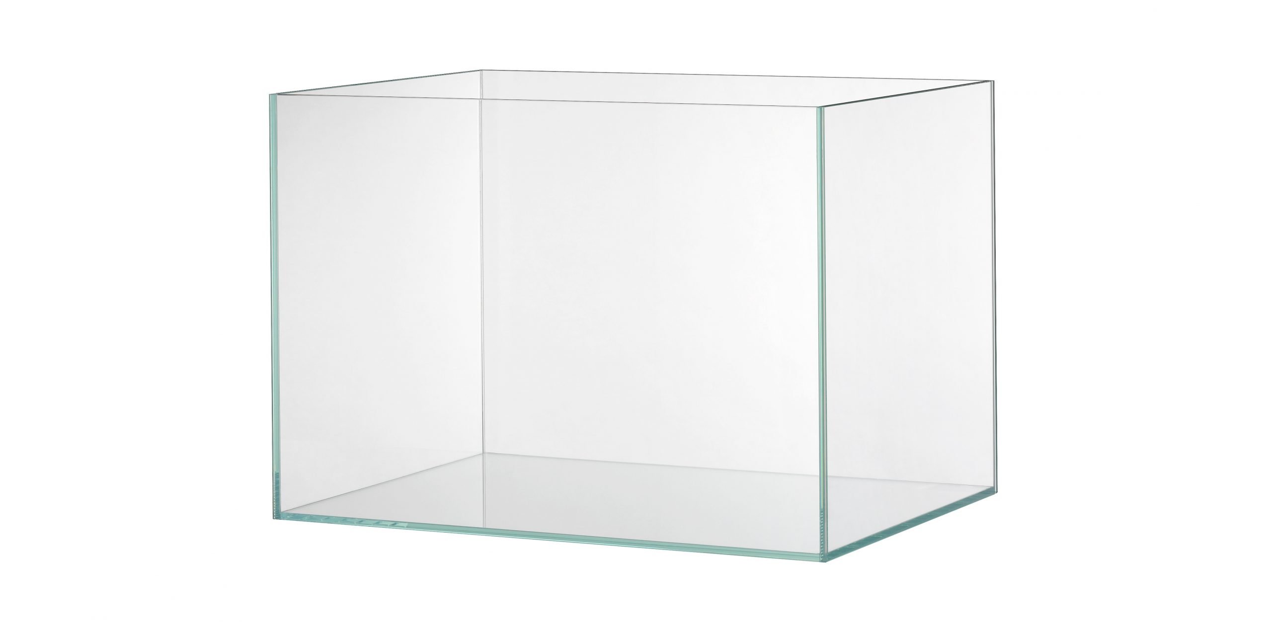 EHEIM cleartank 175, urna de cristal blanco, 70x50x50cm, 175l