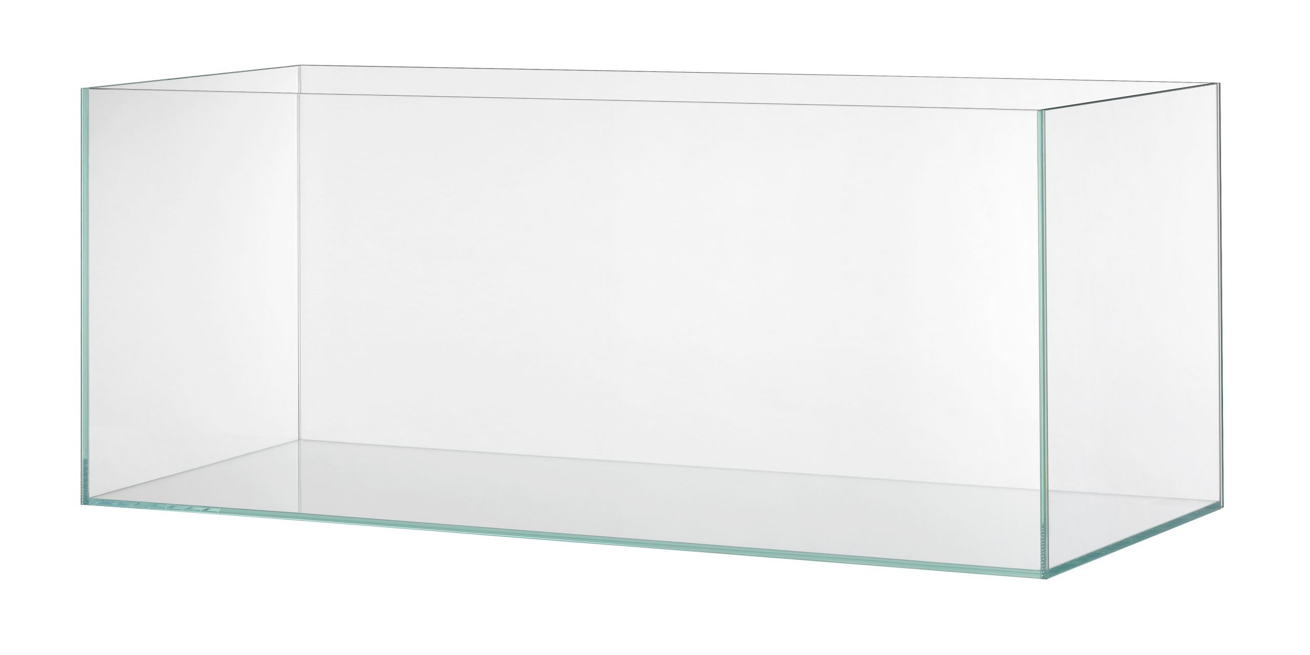 EHEIM cleartank 300, urna de cristal blanco, 120x50x50cm, 300l