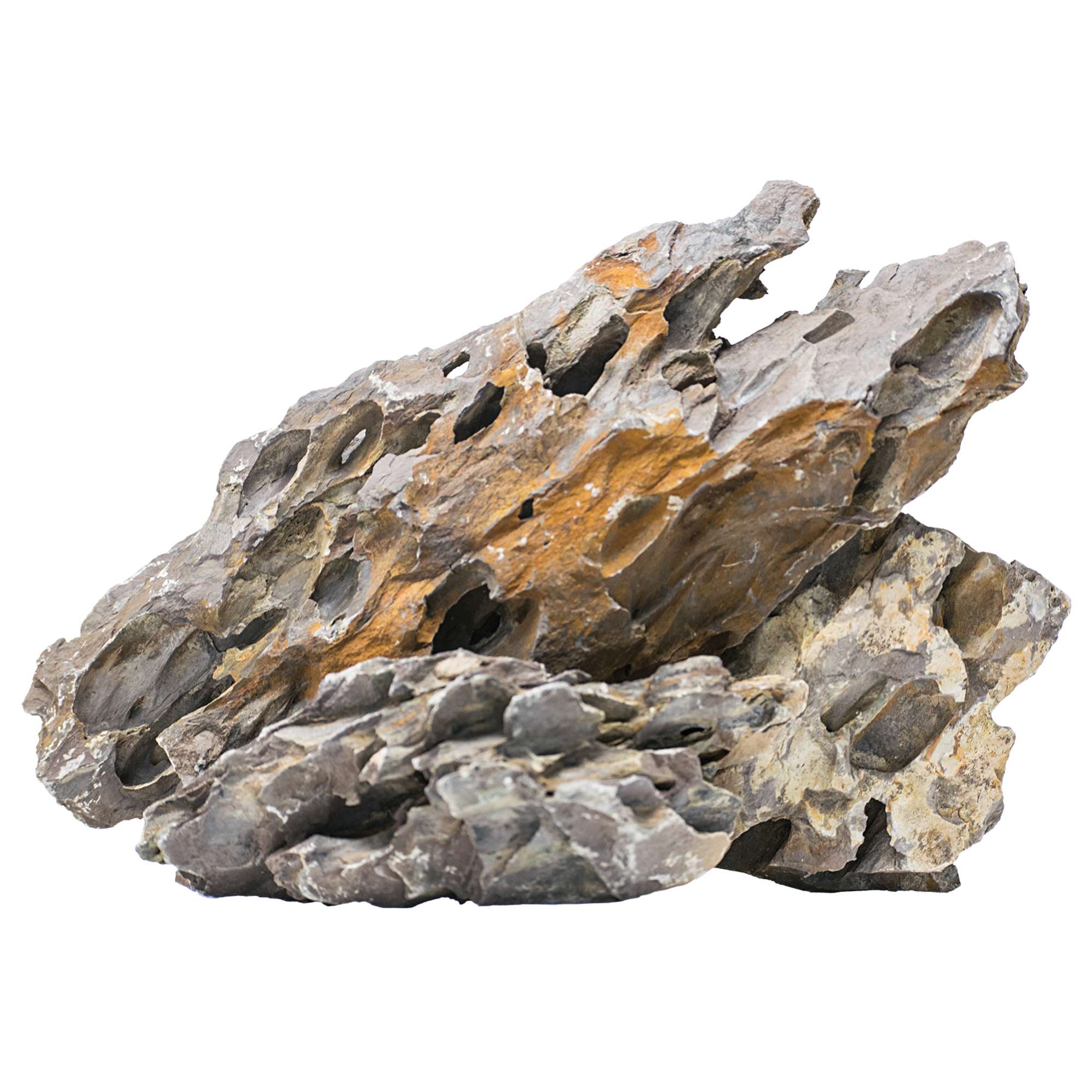 Rocas naturales Dragon (Precio €/KG)