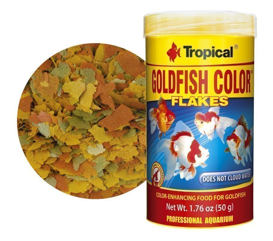 GOLDFISH COLOR 100 ML