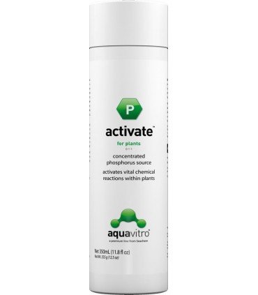 Activate 350 ml