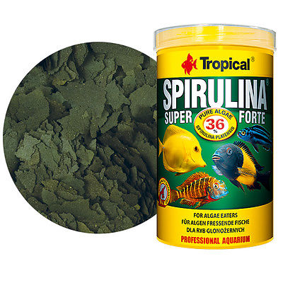 SUPER SPIRULINA FORTE 1000 ML