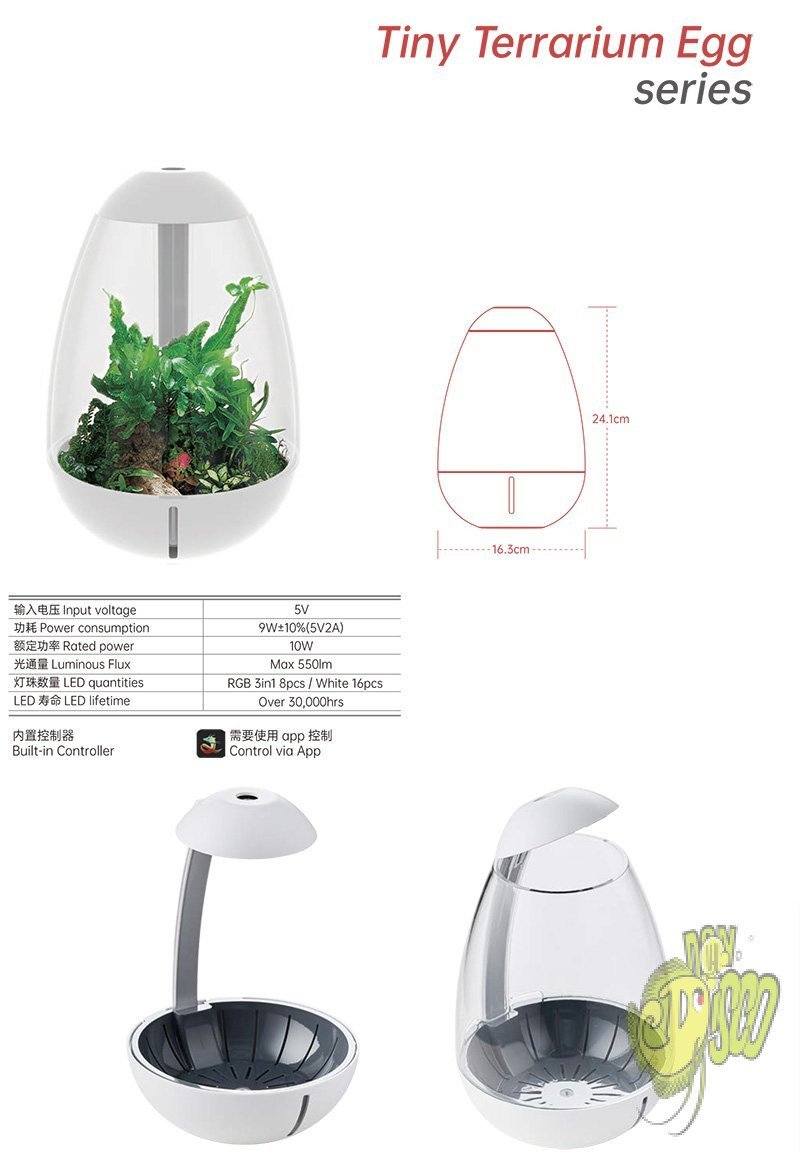 Tiny terrarium egg Chihiros