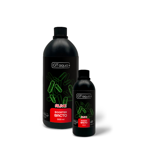 GT BOOSTER BACTO 200ML