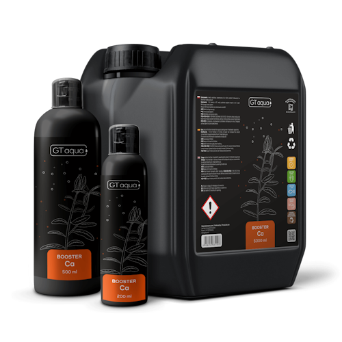 GT BOOSTER CA 200ML - CALCIO